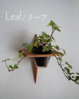 壁掛け棚【リーフ（leaf)モデル】木製のインテリアグリーン壁掛け飾り棚