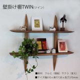 壁掛け棚"TWIN"ツインプラス　壁面をおしゃれに飾る 2段ウォールシェルフ　シンプルでスタイリッシュな壁掛け飾り棚